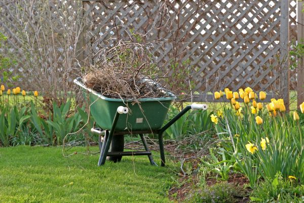 Flower Bed Cleanup Service in Laguna Niguel