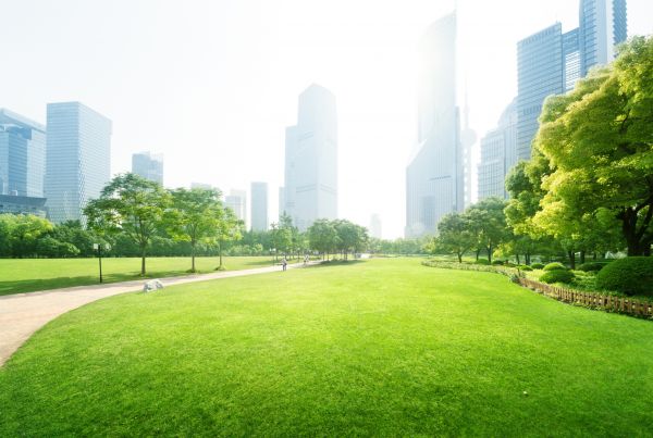 Commercial Landscape Maintenance in Laguna Niguel