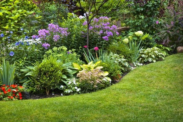 Flower Bed Service in Laguna Niguel