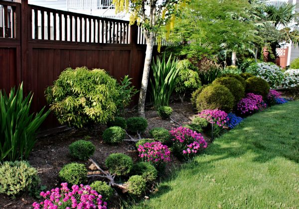 Garden Care Service in Laguna Niguel