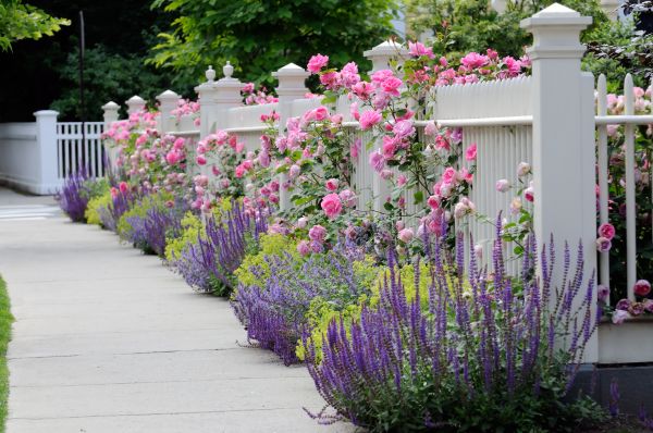 Garden Handyman Service in Laguna Niguel