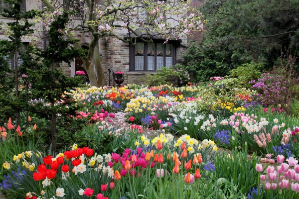 Garden Maintenance Service in Laguna Niguel