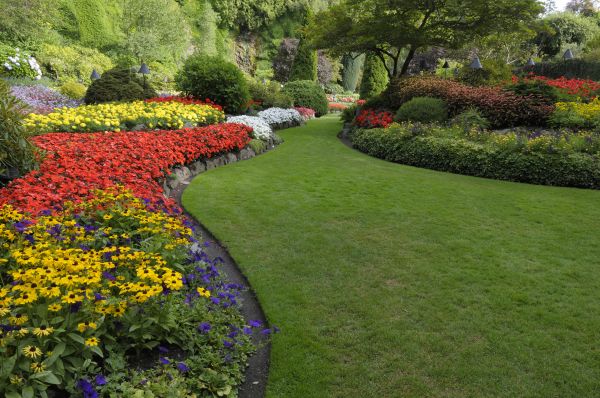 Landscaping Maintenance in Laguna Niguel