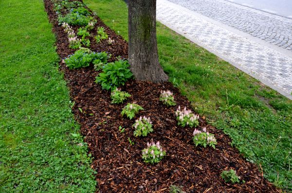 Mulch Replacement Service in Laguna Niguel