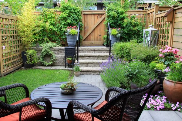 Small Yard Landscaping in Laguna Niguel