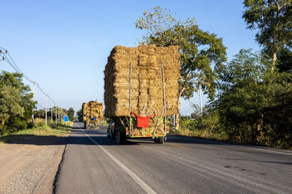 Pine Straw Delivery in Laguna Niguel