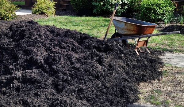 Black Mulch Delivery in Laguna Niguel