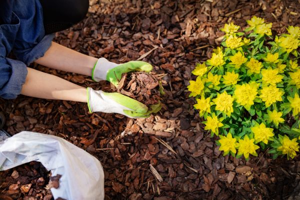 Garden Mulching in Laguna Niguel