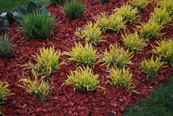 Mulch Landscaping in Laguna Niguel