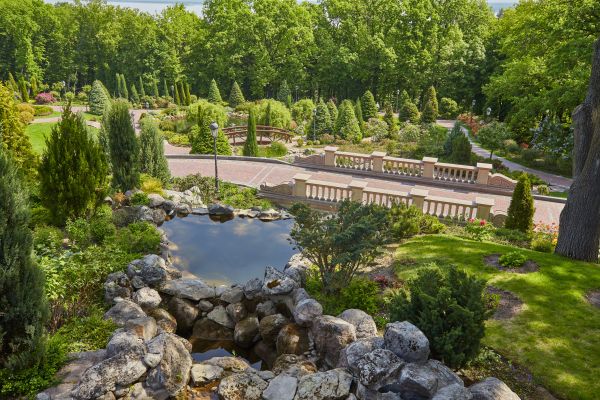 Landscape Architecture Service in Laguna Niguel