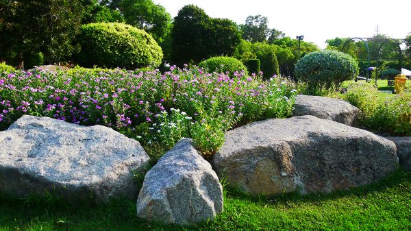 Boulder Landscaping in Laguna Niguel