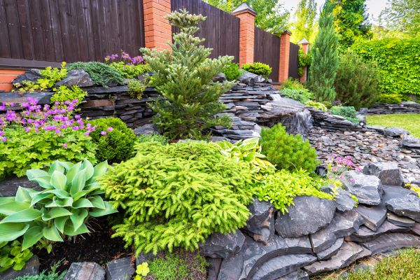 Landscape Remodeling in Laguna Niguel