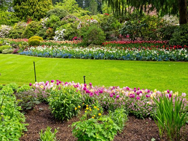 Residential Landscape Design in Laguna Niguel