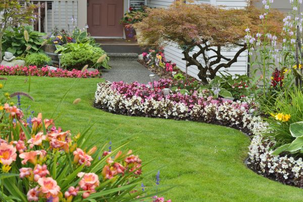 Perennial Landscaping in Laguna Niguel