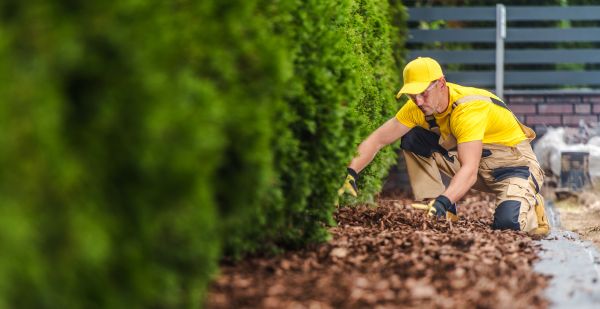 Cypress Mulch Installation in Laguna Niguel