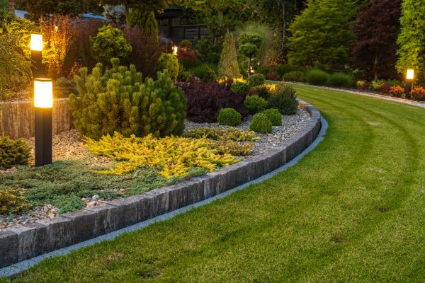 Garden Repair Service in Laguna Niguel