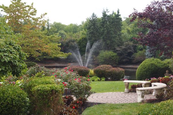 Courtyard Design Service in Laguna Niguel