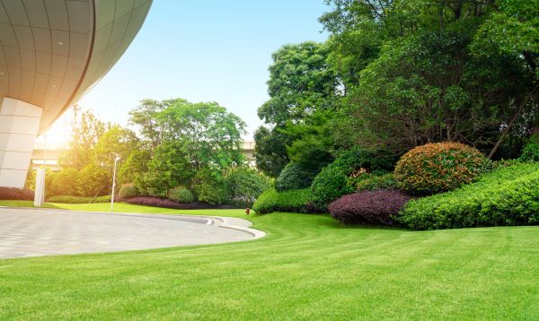 Business Landscape Design in Laguna Niguel