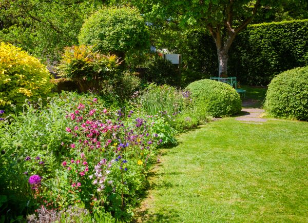 Yard Landscaping Service in Laguna Niguel