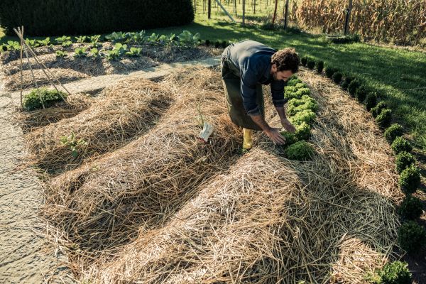 Straw Mulching Service in Laguna Niguel