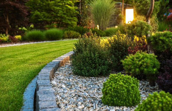 Landscaping Service in Laguna Niguel