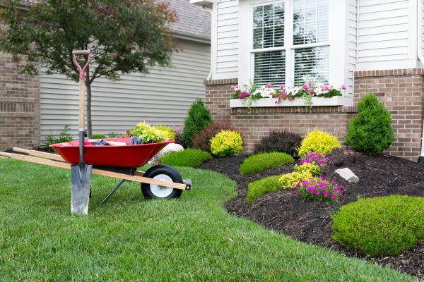 Tree And Shrub Planting in Laguna Niguel