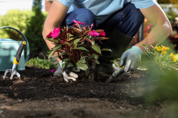 Plant Installation in Laguna Niguel