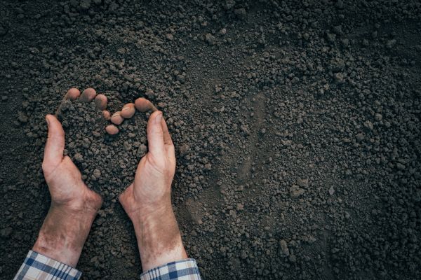 Soil Installation in Laguna Niguel