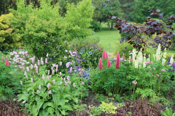 Flower Bed Planting in Laguna Niguel