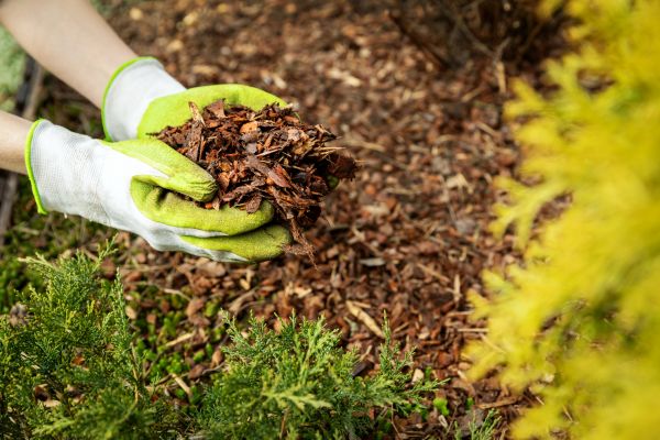 Garden Mulch Delivery in Laguna Niguel