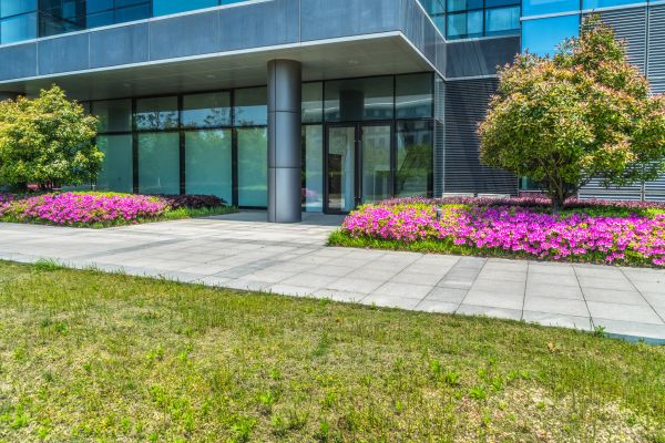 Commercial Gardening in Laguna Niguel