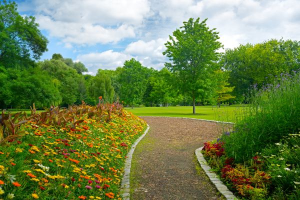 Park Landscaping in Laguna Niguel