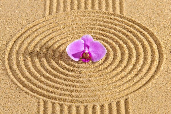 Sand Garden Landscaping in Laguna Niguel