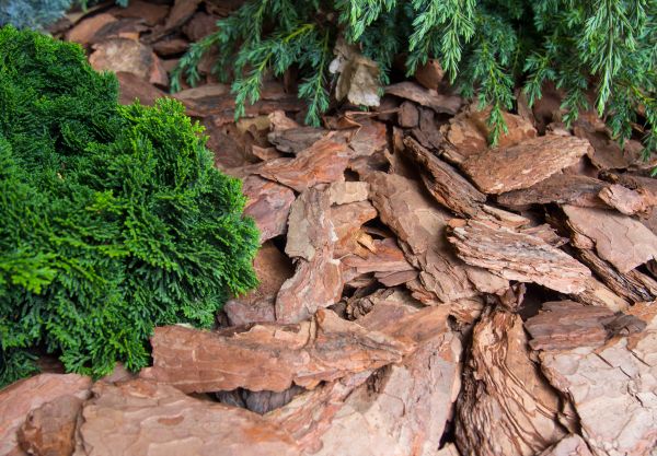 Pine Bark Installation in Laguna Niguel
