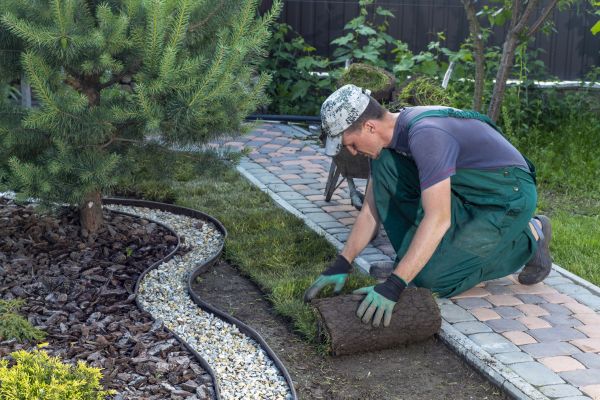 Landscaping Modification in Laguna Niguel