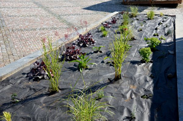 Landscape Fabric Installation in Laguna Niguel