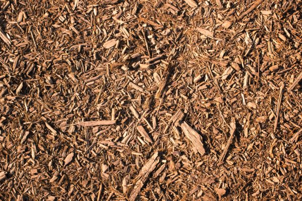Wood Chips Removal in Laguna Niguel