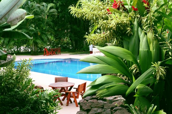 Pool Area Landscaping in Laguna Niguel
