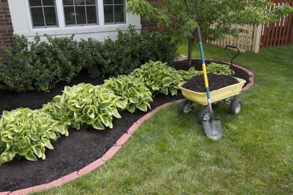 Landscape Mulching in Laguna Niguel