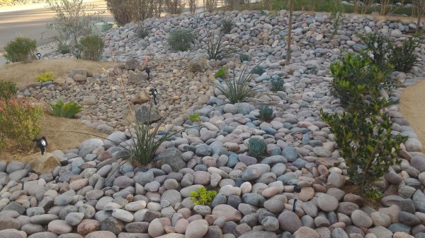 Yard Xeriscaping in Laguna Niguel