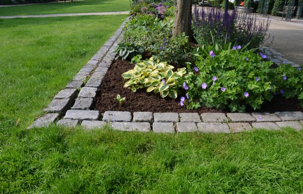 Flower Bed Mulching in Laguna Niguel