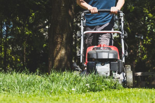 Garden Trimming Service in Laguna Niguel