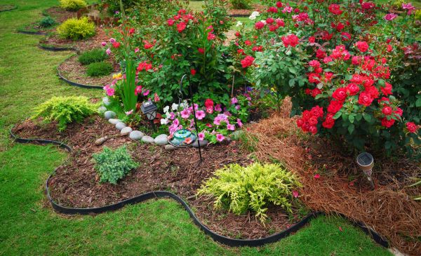 Floral Landscaping in Laguna Niguel