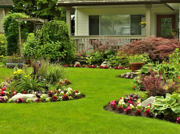 Flower Garden Planting in Laguna Niguel