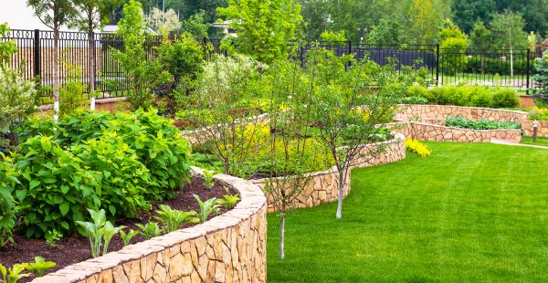 Yard Makeover Service in Laguna Niguel
