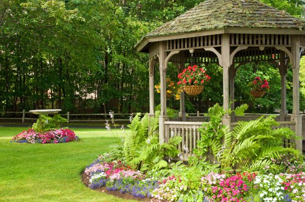 Backyard Landscaping Service in Laguna Niguel