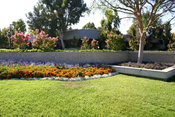 Commercial Landscape Service in Laguna Niguel