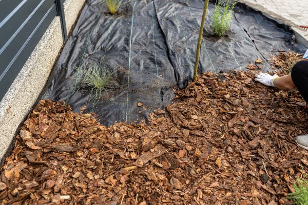 Pine Bark Spreading in Laguna Niguel