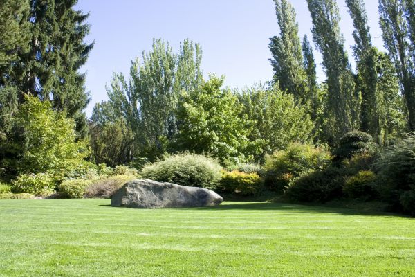 Yard Enlargement in Laguna Niguel