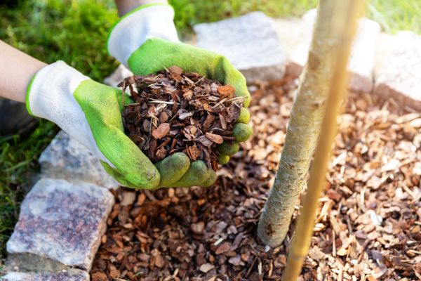 Tree Bark Delivery in Laguna Niguel